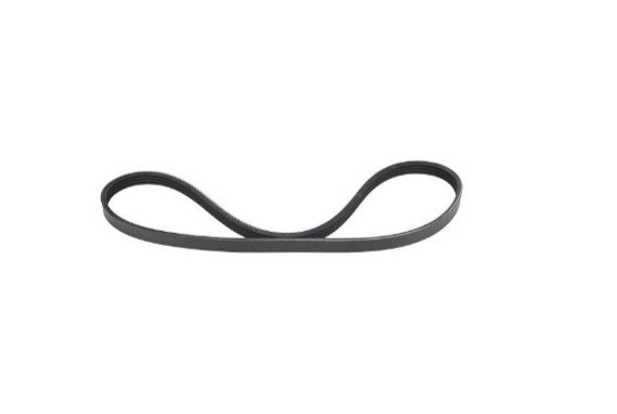 تسمه دینام تارا GISP